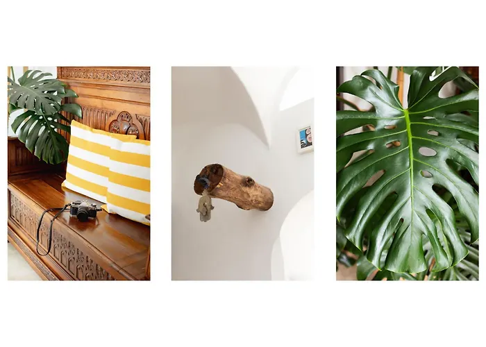 Cocles - Villa Positano