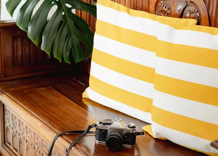 Cocles - * Позітано