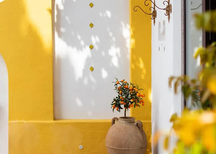 Cocles - Позітано