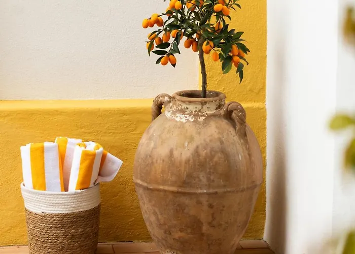 Cocles - Позітано