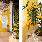Cocles - * Positano